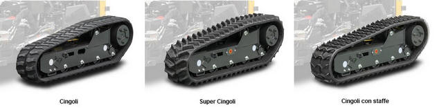 cingoli