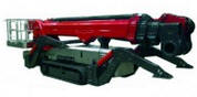 spider
33